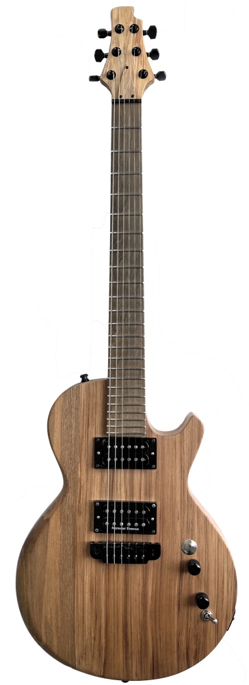 Mudplank SC1 Guitar